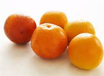 clementine fruit season